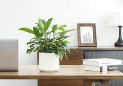 Arktiva Ceramic Planter Pot with Drainage Hole, 5 Inch Dia, Indoor and Outdoor, Home Patio Garden, Plants Flower Succulent, Textured Round (Black)