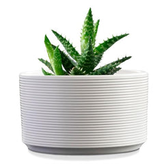 Ceramic Plant Pots with Drainage Holes - Creamy White Round Planters for Indoor Outdoor - 6"