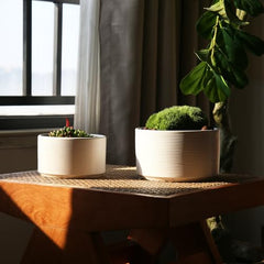 Ceramic Plant Pots with Drainage Holes - Creamy White Round Planters for Indoor Outdoor - 6"