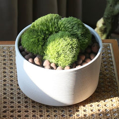 Ceramic Plant Pots with Drainage Holes - Creamy White Round Planters for Indoor Outdoor - 6"
