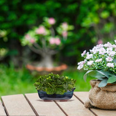 BESPORTBLE 2Pcs Mini Ceramic Glazed Planters, Chinese Style Succulent Flower Pots for Home Office Decoration, Cute Bonsai Vases