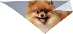 Cute Pomeranian Dog Bandana Pet Scarf Accessories for Small Medium Dogs Cats Photo Prop, Triangle Pet Bandanas Adjustable Puppy Bib Washable Dog Kerchief Puppy Neckerchief
