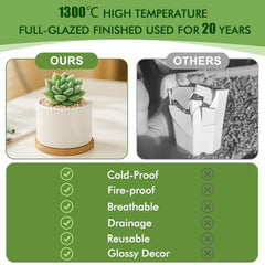 ZOUTOG Succulent Pots 3.15 Inch,4 Pack Succulent Planters,Small Pots for Plants with Drainage and Tray,White Ceramic Flower Planters for Indoor Plants,Home,Office,Desk