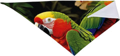 Tropical Parrot Dog Bandana Pet Scarf Accessories for Small Medium Dogs Cats Photo Prop, Triangle Pet Bandanas Adjustable Puppy Bib Washable Dog Kerchief Puppy Neckerchief