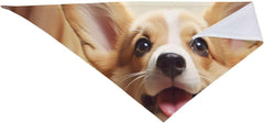 Cute Corgi Dog Bandana Pet Scarf Accessories for Small Medium Dogs Cats Photo Prop, Triangle Pet Bandanas Adjustable Puppy Bib Washable Dog Kerchief Puppy Neckerchief