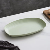 Plastic Plate - Wheat Straw Dinner Plate BPA Free, Dishwasher Safe – Single Plate (Light Green)