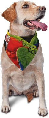 Tropical Parrot Dog Bandana Pet Scarf Accessories for Small Medium Dogs Cats Photo Prop, Triangle Pet Bandanas Adjustable Puppy Bib Washable Dog Kerchief Puppy Neckerchief