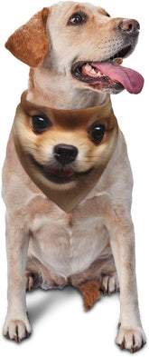 Cute Pomeranian Dog Dog Bandana Pet Scarf Accessories for Small Medium Dogs Cats Photo Prop, Triangle Pet Bandanas Adjustable Puppy Bib Washable Dog Kerchief Puppy Neckerchief