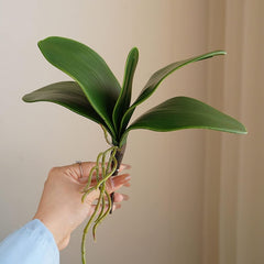 Artificial Plant, Artificial Fake Flowers,Simulation Leaves Non-Wilting Fake Phalaenopsis Orchid Leaves Home Decor E