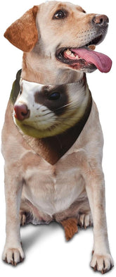 Ferret Dog Bandana Pet Scarf Accessories for Small Medium Dogs Cats Photo Prop, Triangle Pet Bandanas Adjustable Puppy Bib Washable Dog Kerchief Puppy Neckerchief