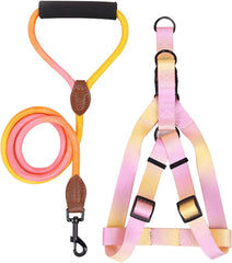 Dog Chest Harness with Leash Nopull Pet Chest Belt Walking Dogs Vests Harness Outdoor Activity Dog Colorful