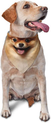 Cute Pomeranian Dog Bandana Pet Scarf Accessories for Small Medium Dogs Cats Photo Prop, Triangle Pet Bandanas Adjustable Puppy Bib Washable Dog Kerchief Puppy Neckerchief