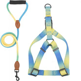 Dog Collar, Dog Chest Harness with Leash Nopull Pet Chest Belt Walking Dogs Vests Harness Outdoor Activity Dog Colorful Harness