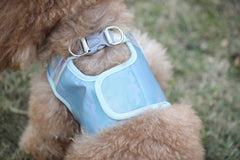 Pet Harness and Leash Set Adjustable Dog Reflective Vest Harness for Puppy Small Medium Dog (M, Blue)