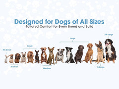 No Pull Reflective Adjustable Dog Harness With Handle- Comfortable Soft All Weather Mesh, Easy On Puppy Harness For Small Medium and Large Dogs (Green) Small