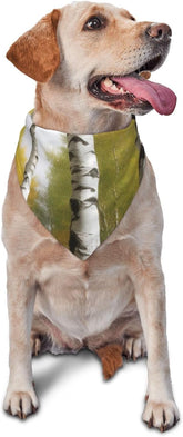 Birch Trees Dog Bandana Pet Scarf Accessories for Small Medium Dogs Cats Photo Prop, Triangle Pet Bandanas Adjustable Puppy Bib Washable Dog Kerchief Puppy Neckerchief