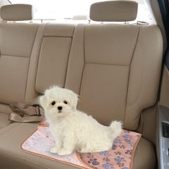 Dog Blanket Soft Coral Fleece Paw Print Pet Bed Blankets Bath Towels 40x60CM 5PCS, pet Blanket/5962