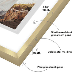 Americanflat Aluminum 5x7 Floating Picture Frame with Shatter-Resistant Glass - Use as 4x6 Picture Frame or Display 5x7 Photo - Signature Float Collection - Photo Frames for Wall Display - Gold