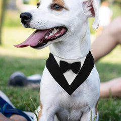 POPETPOP Pet Dog Triangular Bandana Washable Scarf for Dogs for Parties and Photos Unique for