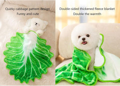 2 Pack Dog Bed Blankets Soft Plush Premium Cute Cabbage Pattern Pet Blanket Flannel Throw for Puppy Cat (M)