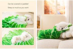 2 Pack Dog Bed Blankets Soft Plush Premium Cute Cabbage Pattern Pet Blanket Flannel Throw for Puppy Cat (M)