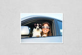 HardPress Wall Art Poster Print of Woman and Dog in Car on Summer Travel. Funny Dog with Sunglasses Traveling. Vacation with Pet Concept.