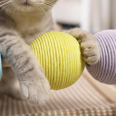 Cats Tree with Sisal Post and Wood Frame for Indoor Cats Comfort Furniture Protector Entertainment Scratcher