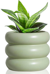 4.7 Inch Modern Plant Pot White Ceramic Glaze Succulent Planters for Indoor Unique Pots, Planter with Drainage Holes Small Bubble Porcelain for Herb Snake Plants