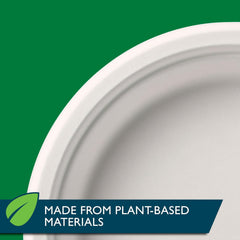 Hefty Compostable 10" Plate 20ct