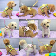 Dog Harness with Leash Set No Choke Puppy Harnesses Escape Proof for Small Dog Comfortable 4Ft Long Rope for Walking