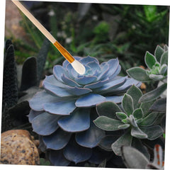 5Pcs Manual Pollinator Brush for Self Pollination of Fruit Trees Vegetables Flowers Hand Tool for Plant Pollination Sprayer for Succulent Gardening