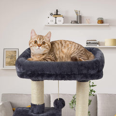 FISH&NAP Cute Cat Tree Kitten Cat Tower for Indoor Cat Condo Sisal Scratching Posts with Jump Platform Cat Furniture Activity Center Play House Grey
