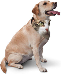 cat Dog Bandana Pet Scarf Accessories for Small Medium Dogs Cats Photo Prop, Triangle Pet Bandanas Adjustable Puppy Bib Washable Dog Kerchief Puppy Neckerchief