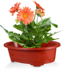 2pcs Large Oval Planter Pots Flower Pots Outdoor Plastic Planters Drainage Succulent Starter Indoor Garden Planting