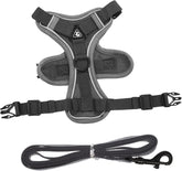 Balacoo Buckle Small Dog Harness Leash Dog Vest Harnesses for Small Cats Puppy Vest and Comfortable