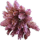 6Pcs/Bundle Fake Green Plant Artificial Plastic Flowers for Christmas Wedding Home Table Decorative DIY Candy Gift Box(Dark Green)