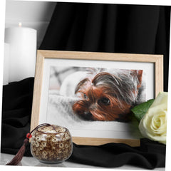 HANABASS Small Ceramic Cremation Urn for Human Ashes and Pets Elegant Red Keepsake Memorial Box for Dogs and Cats and Easy to Clean for Home Display