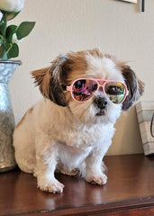 G029 Dog Cat Pet Aviator Sunglasses Glasses for Small Breeds up to 15lbs (Pink-Pink Mirror)