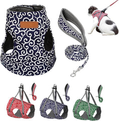 Cat Dogs Vest Harness and Leash Anti-Break Away Chest Strap Cat Clothes,Breathable Cat Harness Set,Easy to Wear,for Kittens, Small Dogs (Blue, XL)