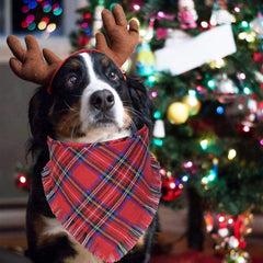2 Pack Christmas Dog Bandanas with Tassels Edges, Multi Sizes Plaid Dog Christmas Bandana Scarf for Medium Large Dogs (Large)