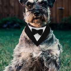 POPETPOP Pet Dog Triangular Bandana Washable Scarf for Dogs for Parties and Photos Unique for