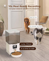 Ciays Automatic Cat Feeder, 5.6L, 4 Meals Per Day, Pet Dry Food Dispenser, Dual Power Supply & Voice Recorder, Black