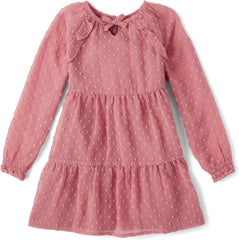 Gymboree Girls and Toddler Long Sleeve Tiered Dresses