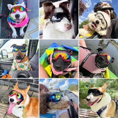 Dog Sunglasses Pet Goggles for Medium Large UV Protection Wind Protection Dust Protection Adjustable Strap Dog Glasses Suitable for Snow Beach Motorcycle