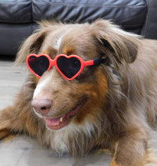 G012 Dog Pet Heart Shape Costume Prop Sunglasses Medium Breeds 20lb-40lbs (Pink-Pink Mirror)