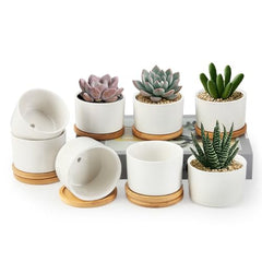 ZOUTOG Succulent Pots 3.15 Inch,4 Pack Succulent Planters,Small Pots for Plants with Drainage and Tray,White Ceramic Flower Planters for Indoor Plants,Home,Office,Desk