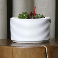 Ceramic Plant Pots with Drainage Holes - Creamy White Round Planters for Indoor Outdoor - 6"
