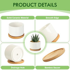 ZOUTOG Succulent Pots 3.15 Inch,4 Pack Succulent Planters,Small Pots for Plants with Drainage and Tray,White Ceramic Flower Planters for Indoor Plants,Home,Office,Desk