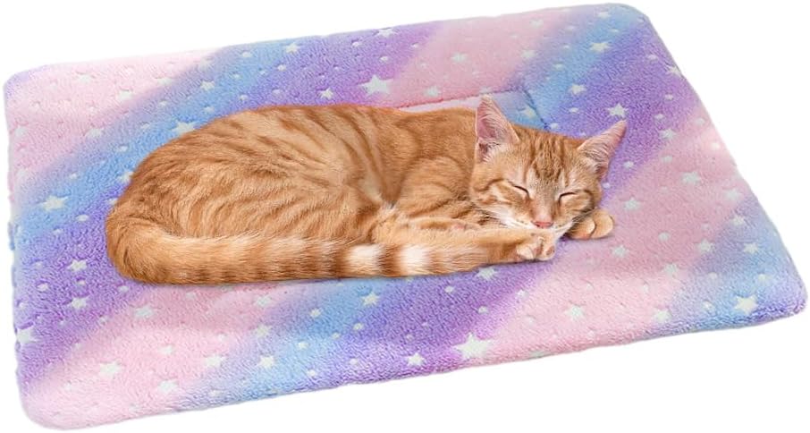 Dog Bed Mat–Soft & Comfortable Puppy Kennel Pad for Crate–Durable Crate Bed & Mat for Dogs & Cats–Ideal for Crate Use (Blue-cat, S:19x13inches, Suit 13 lb Pets)