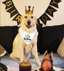 Adjustable Plaid Scarf Bib Photo Prop Gift, Cute Pet Party Accessories for Small Medium Large Puppies